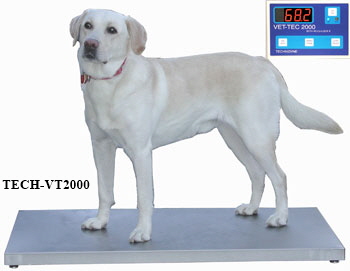 Vet Tech 2000 The Perfect Scale for your Practice 