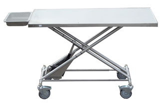 Electric Transport Table with Dental Tray