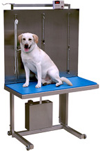 Floor Mounted Lift Table, CLick here for More Info !