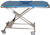 gas assisted transport table, Click for Details!