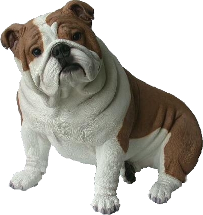 lifeBulldogFawn