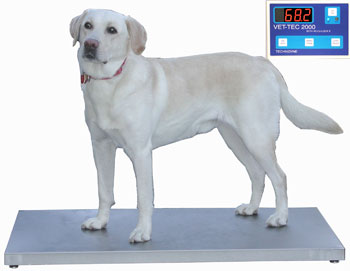 Vet Tech 2000 The Perfect Scale for your Practice 